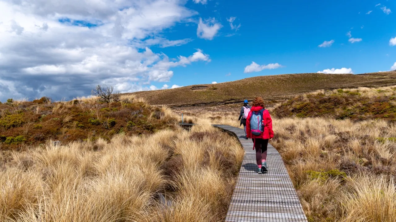 Tongariro National Park